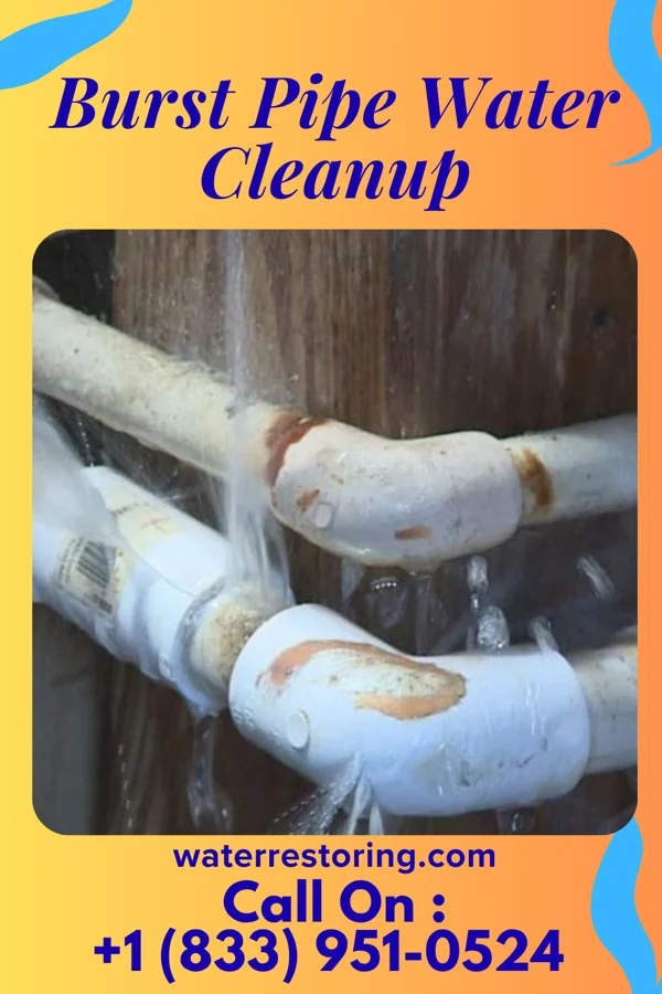 Burst Pipe Water Cleanup in Fort Pierce North, FL
