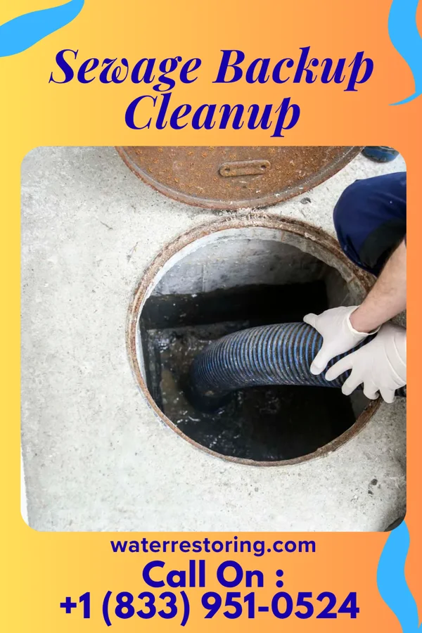 Sewage Backup Cleanup in Fort Pierce North, FL